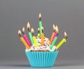 Cupcake with colorful candles