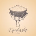 Cupcake, confectionery shop vector logo, sign, icon