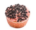 Cupcake covered with chocolate sprinkles against white background Royalty Free Stock Photo