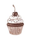 Cupcake with cream, chocolate chips and cherries, hand-drawn