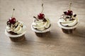 cupcake decorated with creamy vanilla cream