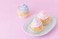 Cupcake decorated with pink and violet buttercream on pastel pink background. Sweet beautiful cake. Horizontal banner, greeting ca Royalty Free Stock Photo