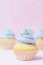 Cupcake decorated with violet buttercream on pastel pink background. Sweet beautiful cake. Vertical banner, greeting card for birt Royalty Free Stock Photo