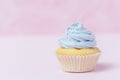 Cupcake decorated with violet buttercream on pastel pink background. Sweet beautiful cake. Horizontal banner, greeting card for bi Royalty Free Stock Photo