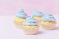 Cupcake decorated with violet buttercream on pastel pink background. Sweet beautiful cake. Horizontal banner, greeting card for bi Royalty Free Stock Photo