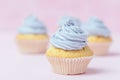 Cupcake decorated with violet buttercream on pastel pink background. Sweet beautiful cake. Horizontal banner, greeting card for bi Royalty Free Stock Photo