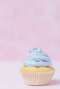 Cupcake decorated with violet buttercream on pastel pink background. Sweet beautiful cake. Vertical banner, greeting card for birt Royalty Free Stock Photo