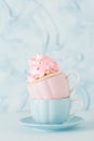 Cupcake with gentle pink cream decoration in two cups on blue pastel background. Royalty Free Stock Photo