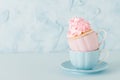 Cupcake with gentle pink cream decoration in two cups on blue pastel background. Royalty Free Stock Photo