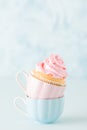 Cupcake with gentle pink cream decoration in two cups on blue pastel background. Royalty Free Stock Photo