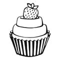 Cupcake. Hand drawn sweets doodle elements. Vector illustration on a white background