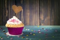 Cupcake Royalty Free Stock Photo