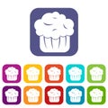 Cupcake icons set