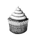 Cupcake illustration old lithography style hand drawn