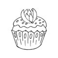 Cupcake linear icon with flower, muffin in hand draw style. Vector illustration. Outline drawing, coloring book. Sign