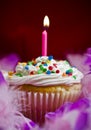 Cupcake with lite candle