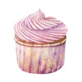 Cupcake muffin cream watercolor drawing fruit in nice paper. Cake bakery tasty dessert illustration. Birthday Royalty Free Stock Photo