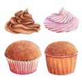 Cupcake muffin cream watercolor drawing set chocolate fruit in nice paper. Cake bakery tasty dessert illustration Royalty Free Stock Photo