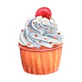 Cupcake muffin cream watercolor drawing vanilla cherry. Cake whipped topping tasty dessert illustration. Birthday Royalty Free Stock Photo