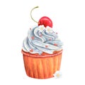 Cupcake muffin cream watercolor drawing vanilla cherry. Cake whipped topping tasty dessert illustration. Birthday Royalty Free Stock Photo