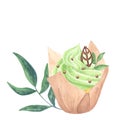 Cupcake muffin green sweet whipped cream. Mint, chocolate leaf, sprinkles. Hand drawn watercolor illustration isolated Royalty Free Stock Photo