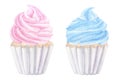 Cupcake muffin pink blue cream. Sweet food clipart. Hand drawn watercolor illustration isolated on white background