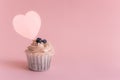 Cupcake or muffin with pink cream on a pink background Royalty Free Stock Photo