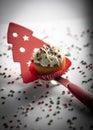 Cupcake over red spatula pine Royalty Free Stock Photo
