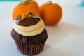 Cupcake and pumpkins Royalty Free Stock Photo