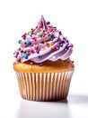 Cupcake with purple cream and sprinkles Royalty Free Stock Photo