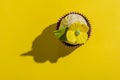 Cupcake in purple wrap on solid yellow background with strong shadow. Top view. Pop art. Trendy funky minimalist style. Food