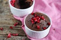 Cupcake in a ramekin, chocolate coffee soft centre mud cake and pomegranate Royalty Free Stock Photo