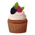Cupcake with raspberries, blackberries, mint leaves and whipped cream. Vector image of a cake on a transparent background.