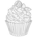 Cupcake with raspberries and decoration. Coloring book antistress for adults.