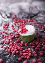 Cupcake with red berries, cranberry on a dark backgroun