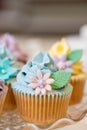 Cupcake selection in pastel colors