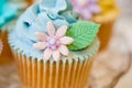 Cupcake selection in pastel colors
