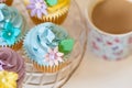 Cupcake selection in pastel colors