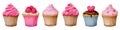 Cupcake set. Collection of watercolor elements