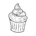 Cupcake sketch hand drawn. Vector