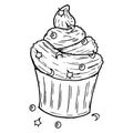 Cupcake sketch hand drawn. Vector illustration