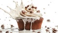 Cupcake splashing in milk, isolate on white background. Collection Royalty Free Stock Photo