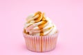 Cupcake Royalty Free Stock Photo