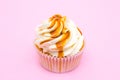 Cupcake Royalty Free Stock Photo