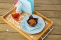 Cupcake, tea, flower vase and card in tray Royalty Free Stock Photo