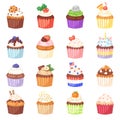 Cupcake vector muffin and sweet cake dessert with berries or caked candies illustration set of confectionery with cream