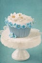 Cupcake with white and blue flowers Royalty Free Stock Photo