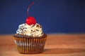 Cupcake with red cherry on top Royalty Free Stock Photo