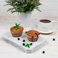 Cupcakes with black currants on a white wooden cutting board against the background of a cup and mint flowers. Royalty Free Stock Photo