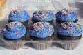 Cupcakes with blue icing Royalty Free Stock Photo
